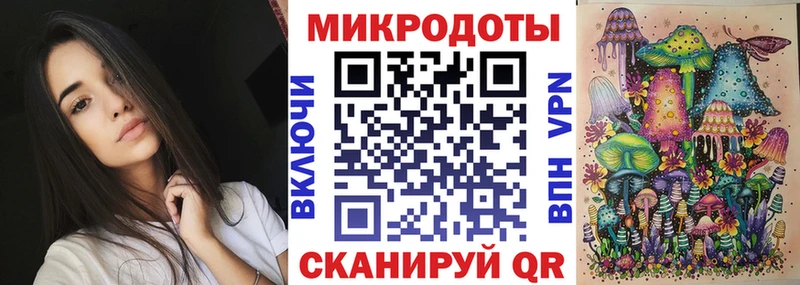 Галлюциногенные грибы Psilocybe  Арск 